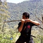 باشگاه رزمی نینجوتسو غرب تهران