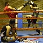 باشگاه سلاطین رینگ