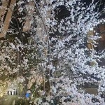 Arashk Fitness Academy