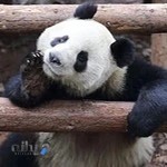 مطب دکتر سجاد باقرنژاد