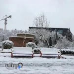 فروشگاه کتاب جهاد دانشگاهی مشهد