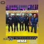 اکادمی رزمی طاها