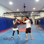 آکادمی هنرهای رزمی