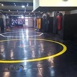 وینگ چون کرج