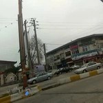 سازمان انتقال خون