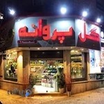 گل فروشی پروانه