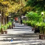 کتابخانه سرو پارک ساعی