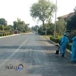 سبز زیور رامسر