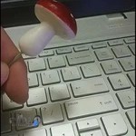 آژانس دیجیتال مارکتینگ خاتون | Digital marketing Khatoon