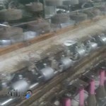 دفترخانه اسناد رسمی شماره ۵۵ یزد