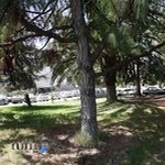 دفتر اسناد رسمی 90ساری