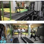 اصفهان کراس فیت، برنا