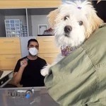 کلینیک دامپزشکی پناه