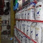 بیمارستان دامپزشکی فوق تخصص اطلس