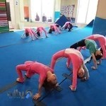 ویوا ژیمناستیک