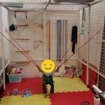 کلینیک کاردرمانی تک‌پور