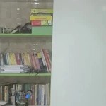 گفتاردرمانی تبریز