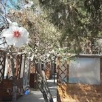 رستوران مهدا