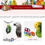 پت شاپ اختصاصی طوطی سانان