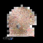 کانون خانواده برتر