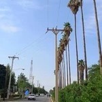 Shahid Chamran University of Ahvaz