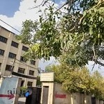 دانشگاه علمی کاربردی فرهتگ و هنر واحد 49