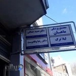 دکتر حمید جمالی