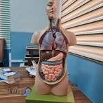 کلینیک چاقی دکتر کیانی