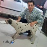 دامپزشکی دکتر محمد قهری