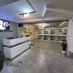 پت شاپ و پانسیون تخصصی گربه اروس