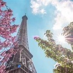 آموزشگاه زبان فرانسه سپیده هماپور