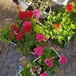 خانه فرهنگ آریان صدر