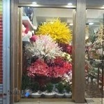 گلفروشی آراگل شهریار