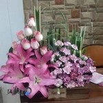 گلفروشی ارکیده