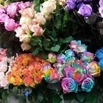 نمایشگاه گل و گیاه عیسایی