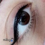 مرکز تخصصی میکروبلیدینگ فاطمه شاملو