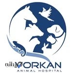 Vorkan Veterinary Hospital