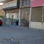 بیمارستان دامپزشکی گلستان