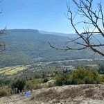 پت شاپ سورین