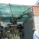 گلفروشی گلباغ الینا