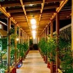 Mojallal Royal roof garden resturant مجلل رويال