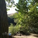 کانون تخصصی والیبال ستارگان(بانوان)