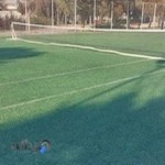 تنیس اسلامشهر