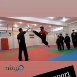 باشگاه نام‌آوران ۳