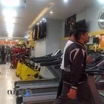 اکادمی پرورش اندام ستارگان شهر