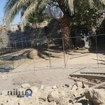 دفتر وکالت سرور شیخ حسینی