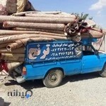 قالیشویی ترنج