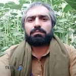 بستنی فروشی گلبهار