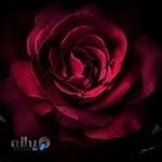 صدا و سیمای مرکز سیستان و بلوچستان