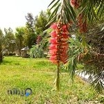 فروش آب تصفیه شده